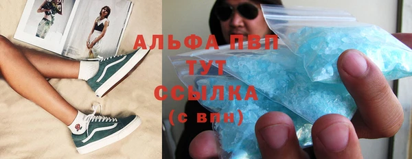 ГАЛЛЮЦИНОГЕННЫЕ ГРИБЫ Абаза