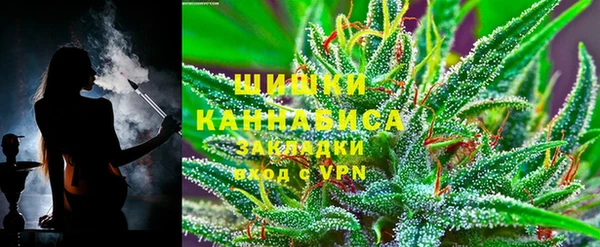 ГАЛЛЮЦИНОГЕННЫЕ ГРИБЫ Абаза