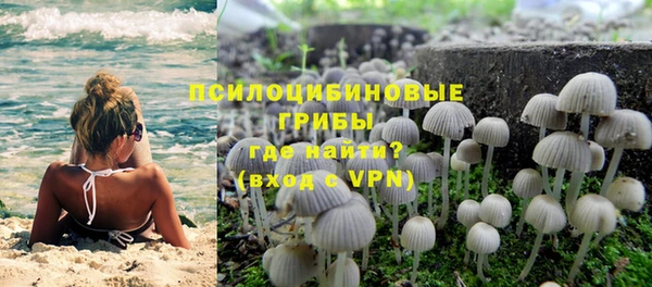 спиды Пролетарск