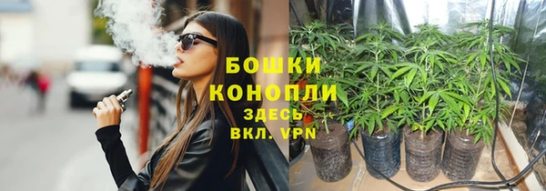 СК Протвино